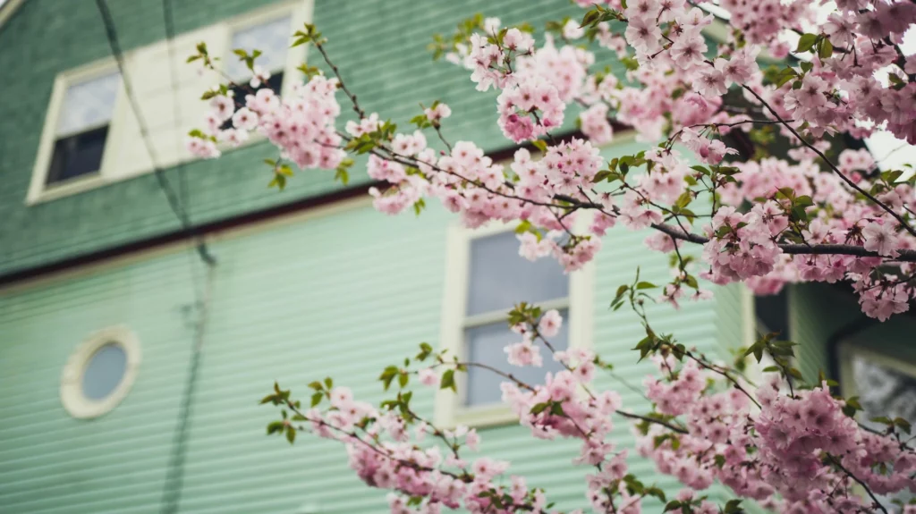 A refreshed real estate listing with updated spring photography