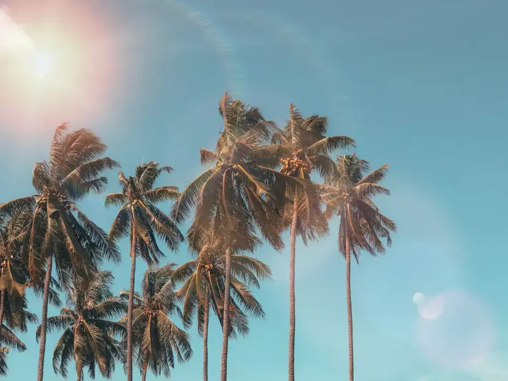 Seasonal visuals help keep your brand fresh and top of mind.
