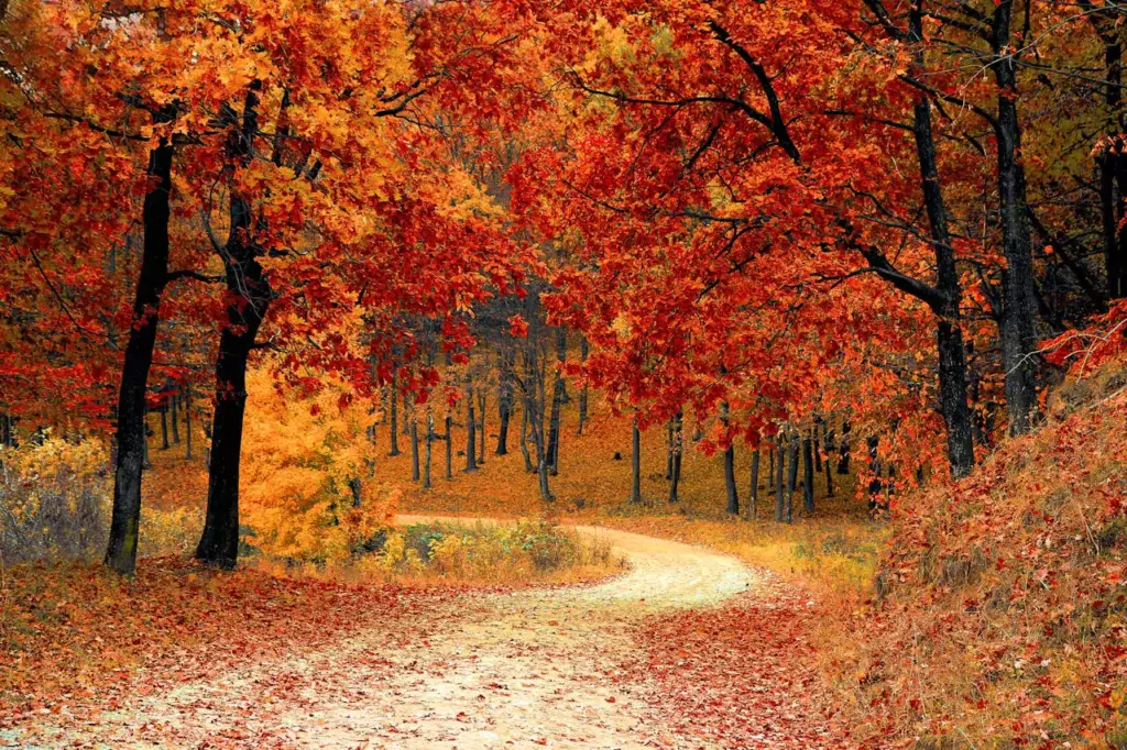 Blend emotion and strategy for your most effective fall campaigns yet.