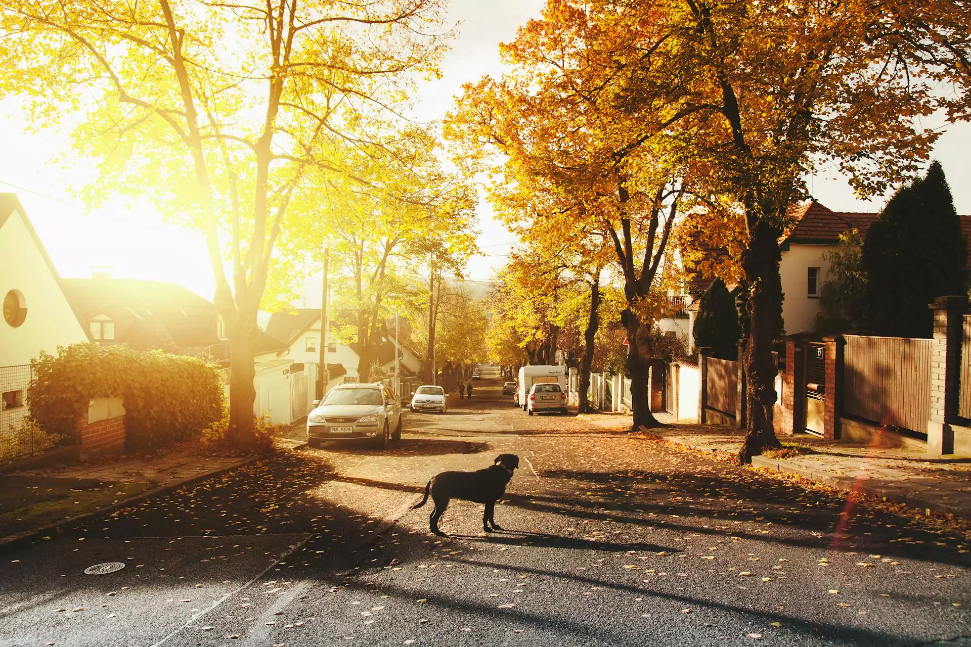 Fall is the perfect season to start building your neighborhood presence for next year.