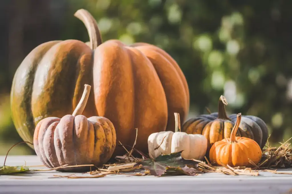 October is the perfect time to highlight community happenings alongside market updates.